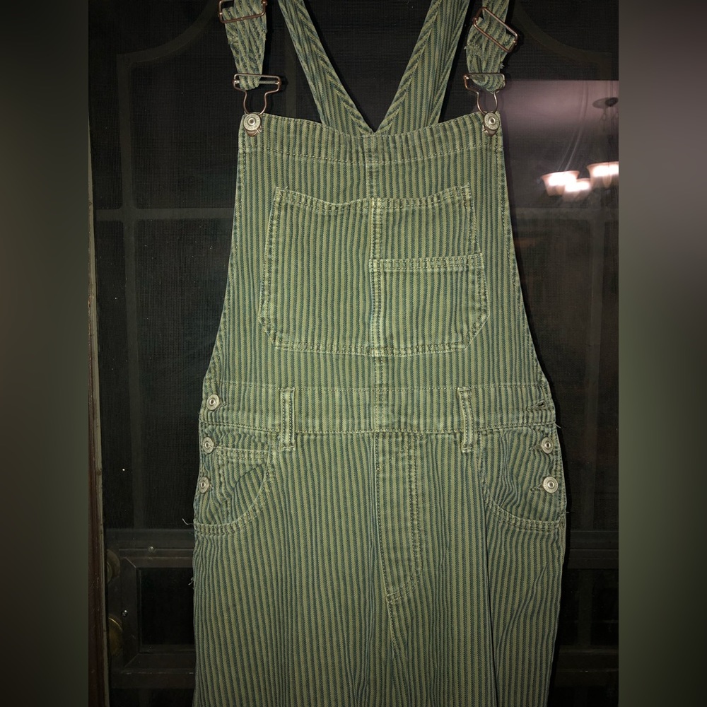 We the Free ziggy overalls